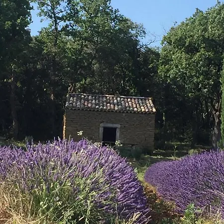 La Maison De L'olivier 펜션 *